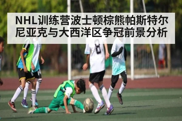 NHL训练营波士顿棕熊帕斯特尔尼亚克与大西洋区争冠前景分析